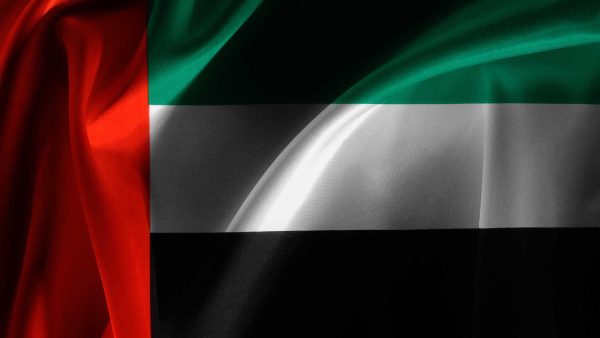 How To Check Police Case In UAE