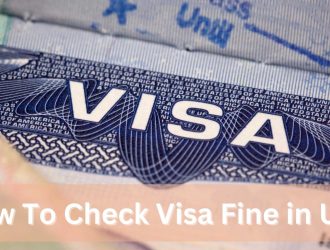 How To Check Visa Fine in UAE