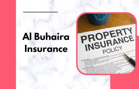 insurance companies in uae