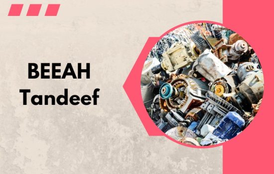 Top 10 Waste Management Companies in UAE - Waste Not, Want Not