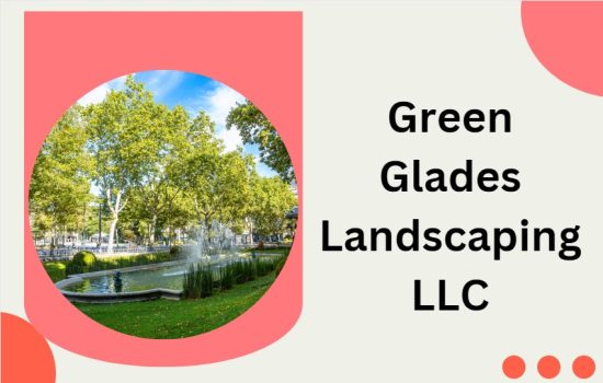 Top 10 Landscaping Companies in Dubai- Creating Green Dreams
