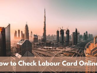 How to Check Labour Card Online