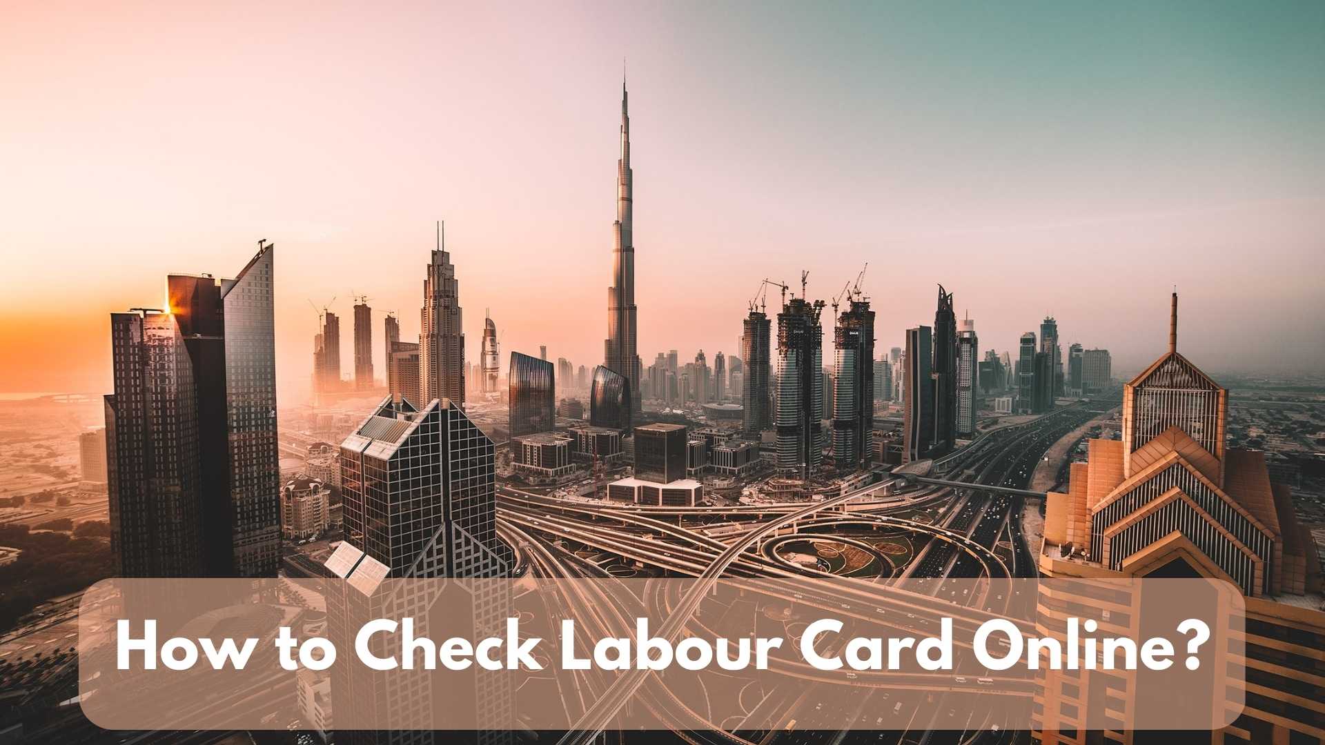 How to Check Labour Card Online UAE Business Blog