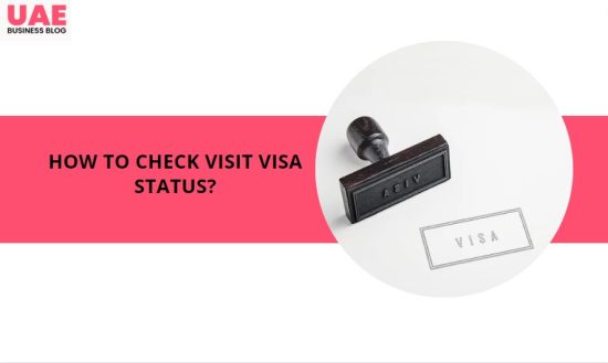 How to Check Visit Visa Status