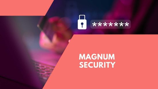 Magnum Security
