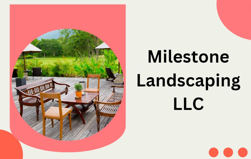 Top 10 Landscaping Companies in Dubai Creating Green Dreams UAE