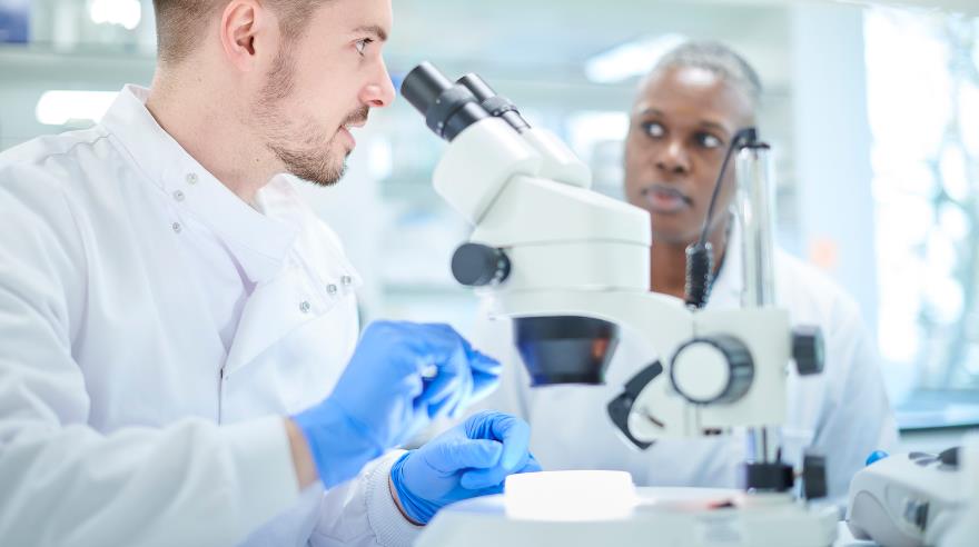 Top 10 Prominent Pharmaceutical Companies in UAE