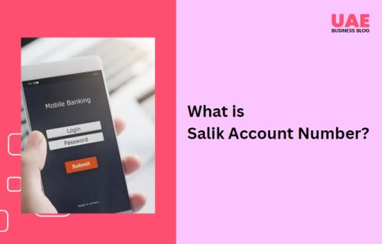 What is Salik Account Number