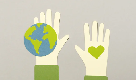 Why is NTD important