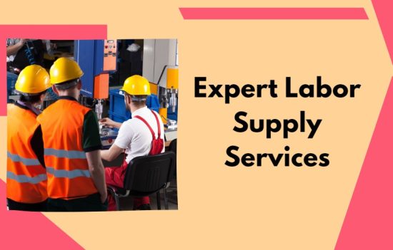 Expert Labor Supply Services