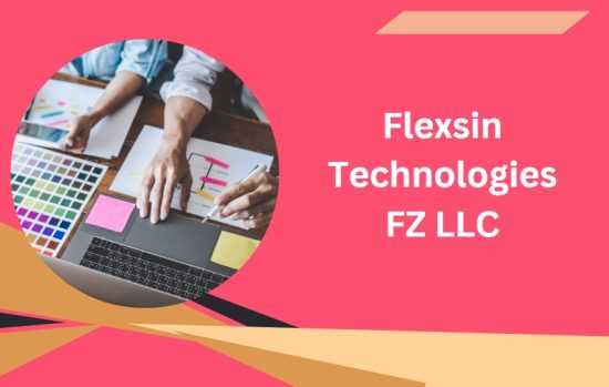 Flexsin Technologies FZ LLC