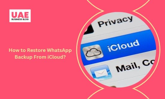 How to Restore WhatsApp Backup From iCloud?