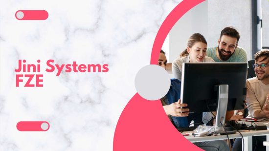 Jini Systems FZE