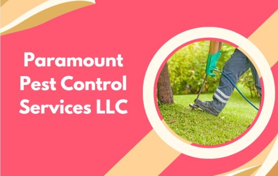 Top 10 Pest Control Companies in Dubai - Say Goodbye to Pests