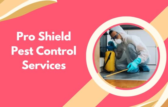 Top 10 Pest Control Companies in Dubai - Say Goodbye to Pests