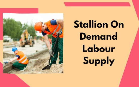 Stallion On Demand Labour Supply