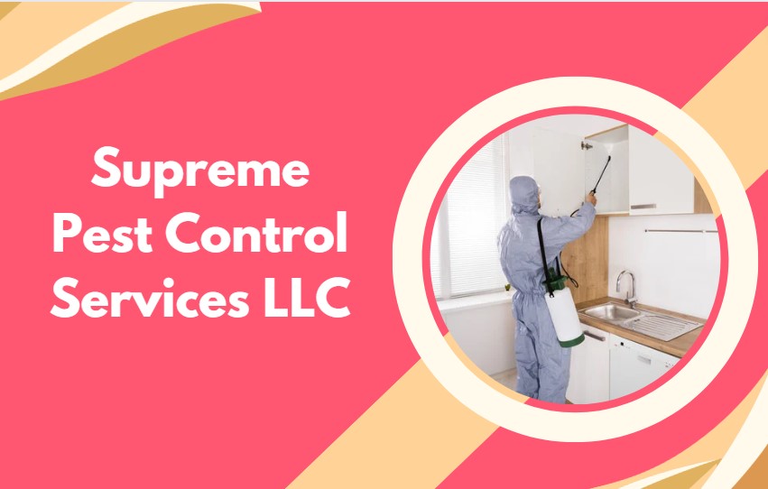 Top 10 Pest Control Companies in Dubai Say Goodbye to Pests UAE