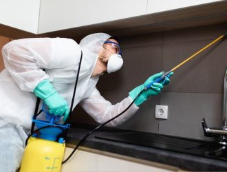 Top 10 Pest Control Companies in Dubai - Say Goodbye to Pests