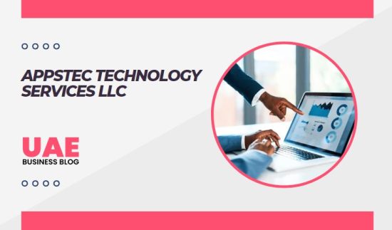 APPSTEC TECHNOLOGY SERVICES LLC