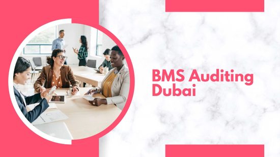 BMS Auditing Dubai