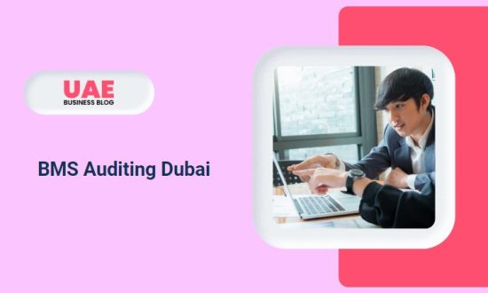 BMS Auditing Dubai