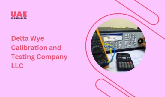 Delta Wye Calibration and Testing Company LLC