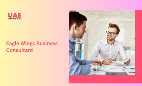 Eagle Wings Business Consultant