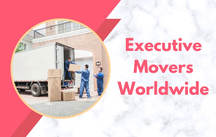 Top 10 Moving Companies in Dubai Making Your Move Easy UAE Business