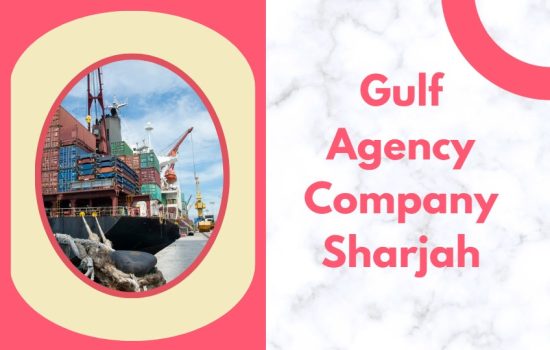 Top 10 Shipping Companies in Sharjah - Innovative Shipping Solutions