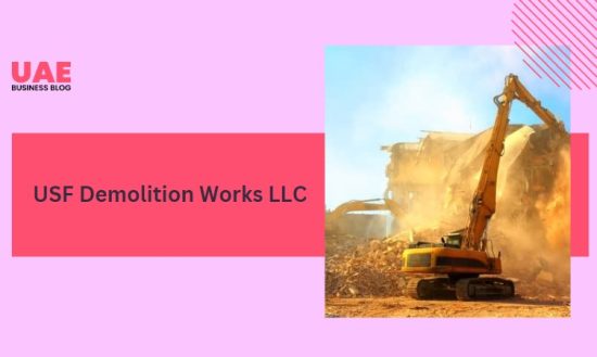 USF Demolition Works LLC