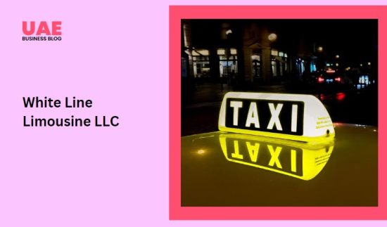 White Line Limousine LLC