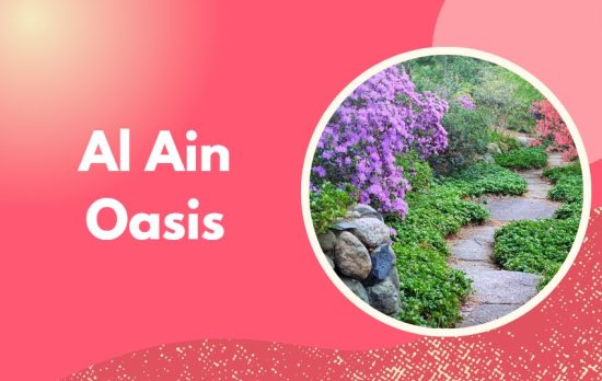 Top 15 Places to Visit in Al Ain