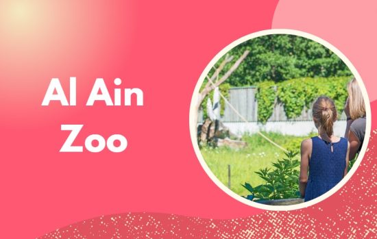 places to visit in al ain