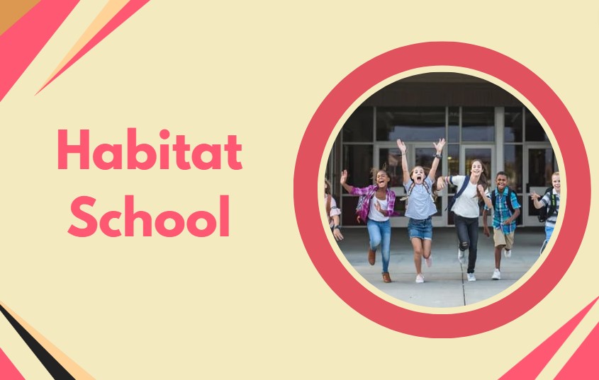 Top 10 Best Schools in Ajman UAE Business Blog