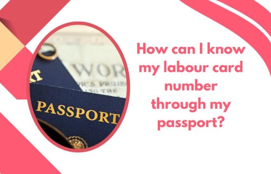 How can I know my labour card number through my passport