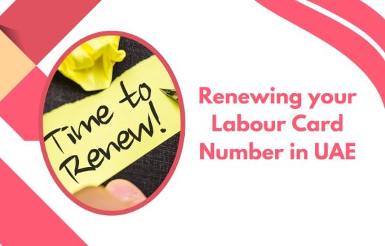 Renewing your Labour Card Number in UAE