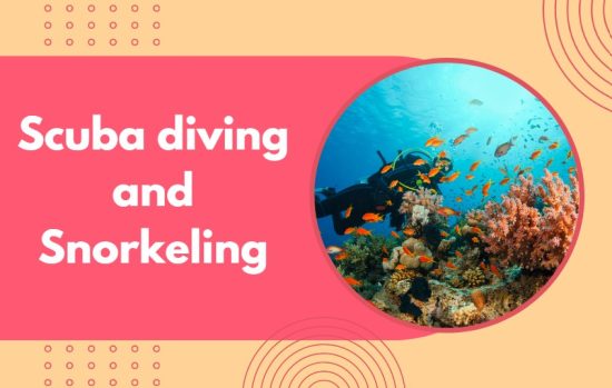 Scuba diving and snorkeling