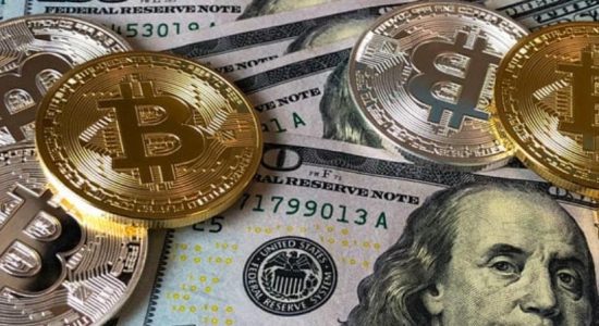 Crypto's General Role