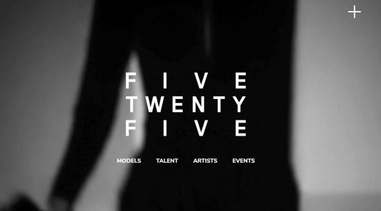 Five25 Models and Talent LLC