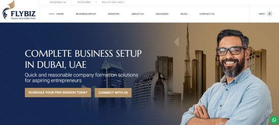 Flybiz Business Setup Consultants