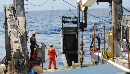 What Is a COC Certificate in the UAE