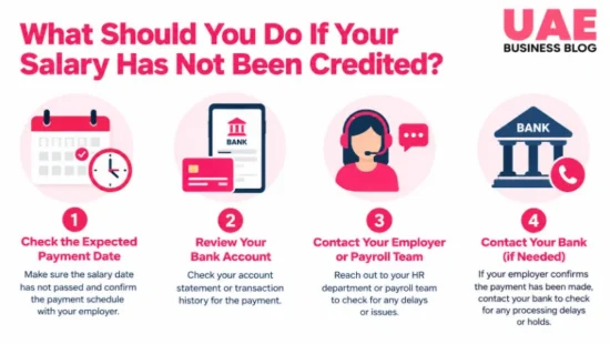 Simple infographic showing what to do if your salary has not been credited, including checking the payment date and contacting payroll or the bank